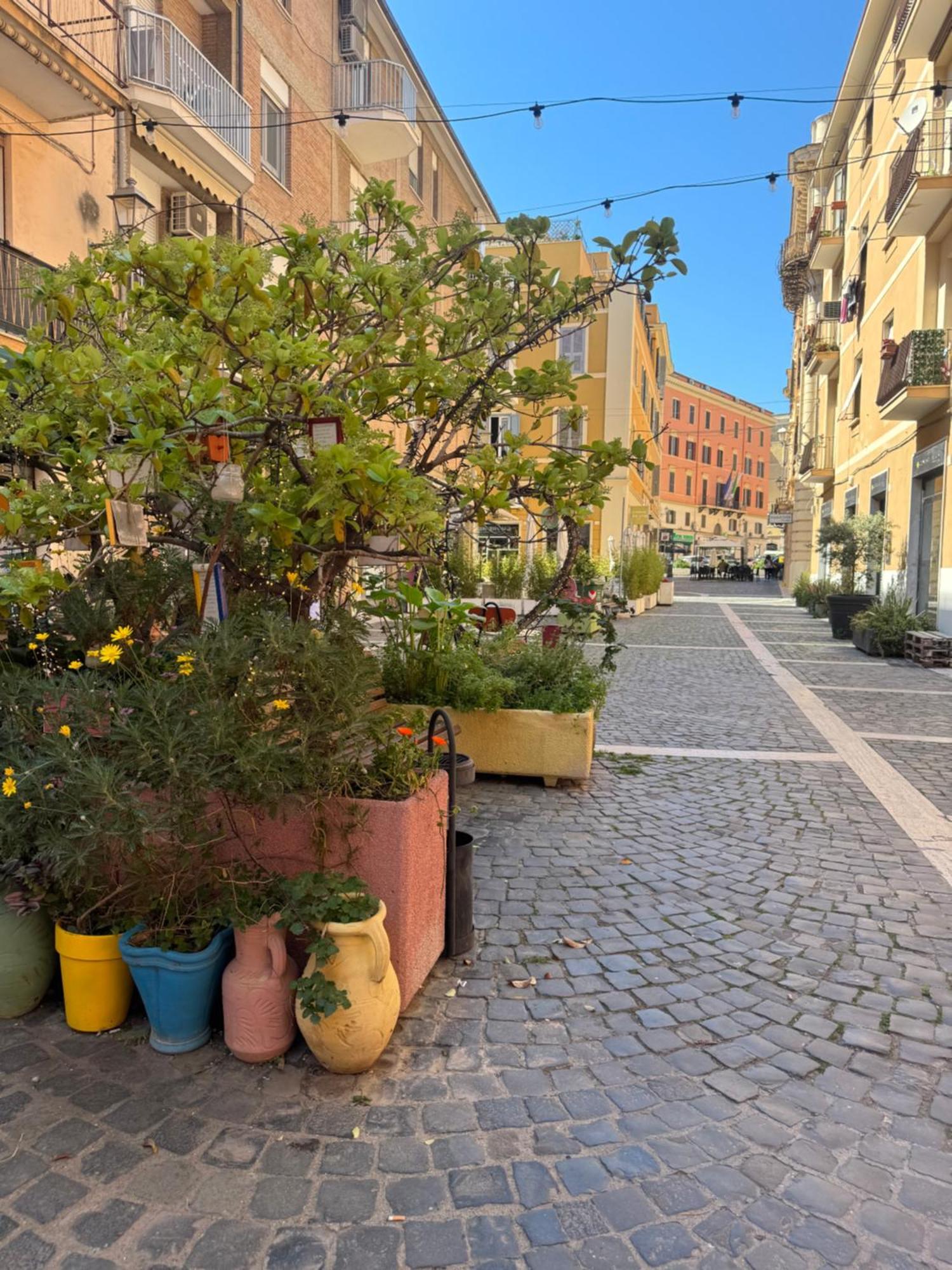 Maison 31 - Suite Apartment Civitavecchia Eksteriør billede